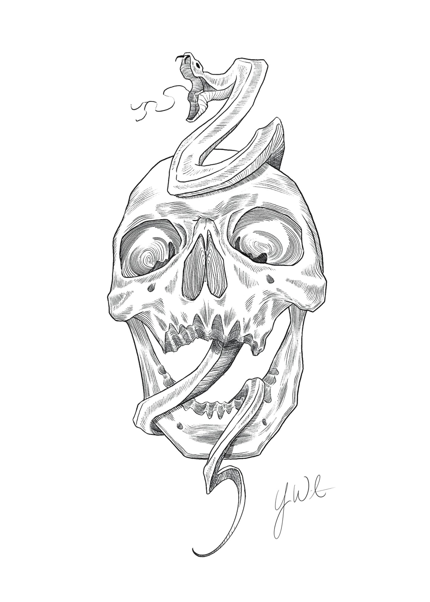 Skull Snake Print
